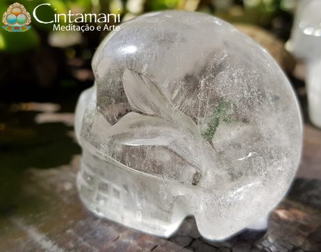 Crânio Esculpido em Cristal de Quartzo com Inclusões - Impermanência - Pedra Natural - Image 4