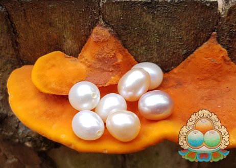 Pedra para Mandala - Conjunto de Sete Pérolas 13,78 ct - com Furo 0.5 mm